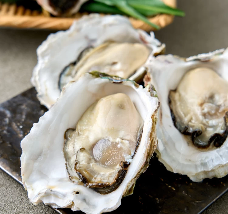 岩ガキLサイズ10個 3kg以上 ナイフ付