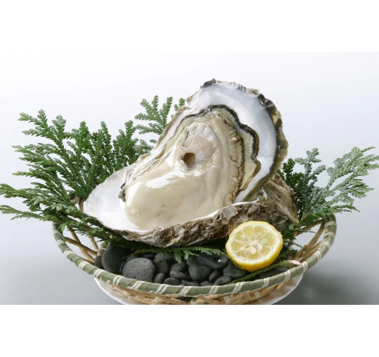 岩ガキLサイズ10個 3kg以上 ナイフ付