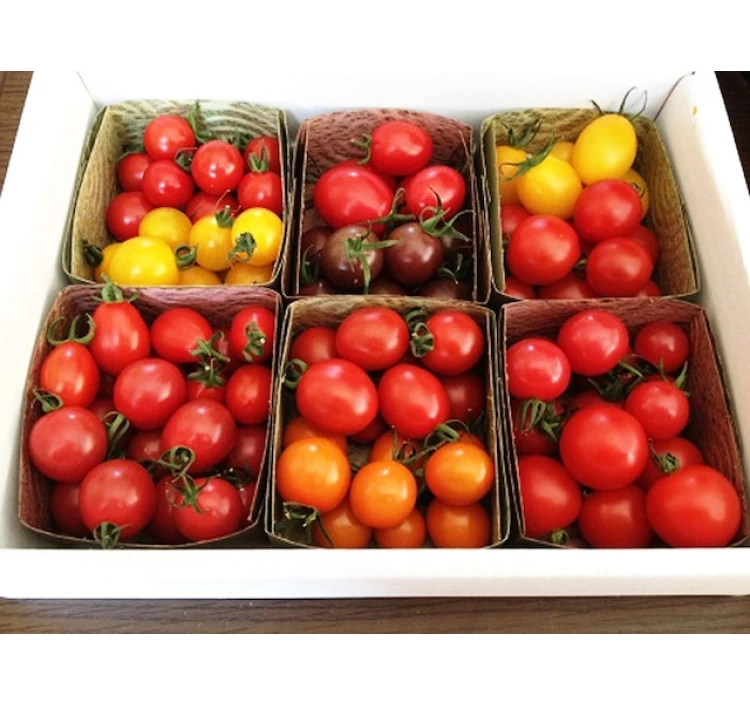 トマトの食べ比べセット(約800g)12品種バージョン
