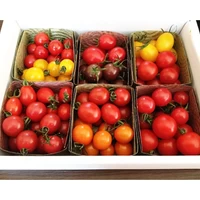 トマトの食べ比べセット(約800g)12品種バージョン サムネイル