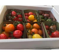 トマトの食べ比べセット(約1.6k)24品種バージョン サムネイル