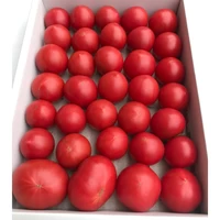 とまっくまのフルーツトマトご家庭用　約1.8キロ サムネイル