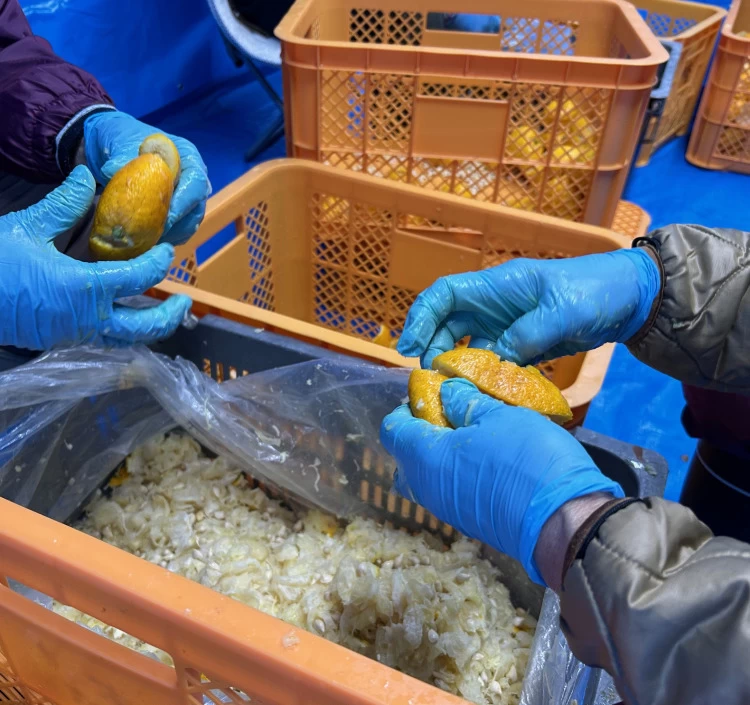 四万十山のゆず調味料セット(ギフト包装・箱入り)