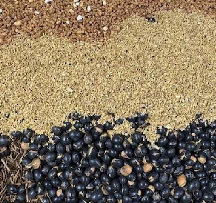 会津生姜ばんちゃ（生姜・黒豆入りほうじ茶）ティーバッグ 11個入