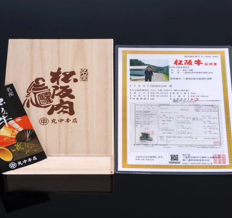 松阪牛ステーキ肉サーロイン 2枚