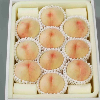【ご家庭用/4kg】岡山一宮産白桃 なつごころ 平箱