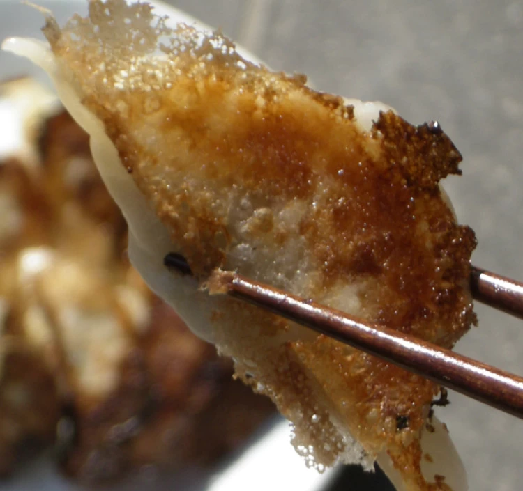 六白黒豚生餃子 60個入り