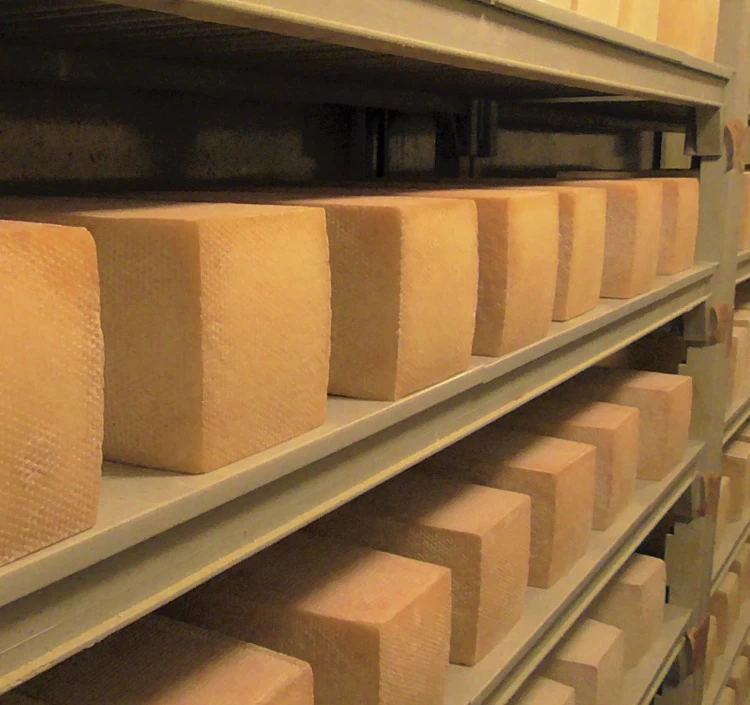 ２００個ほどのチーズが熟成されています