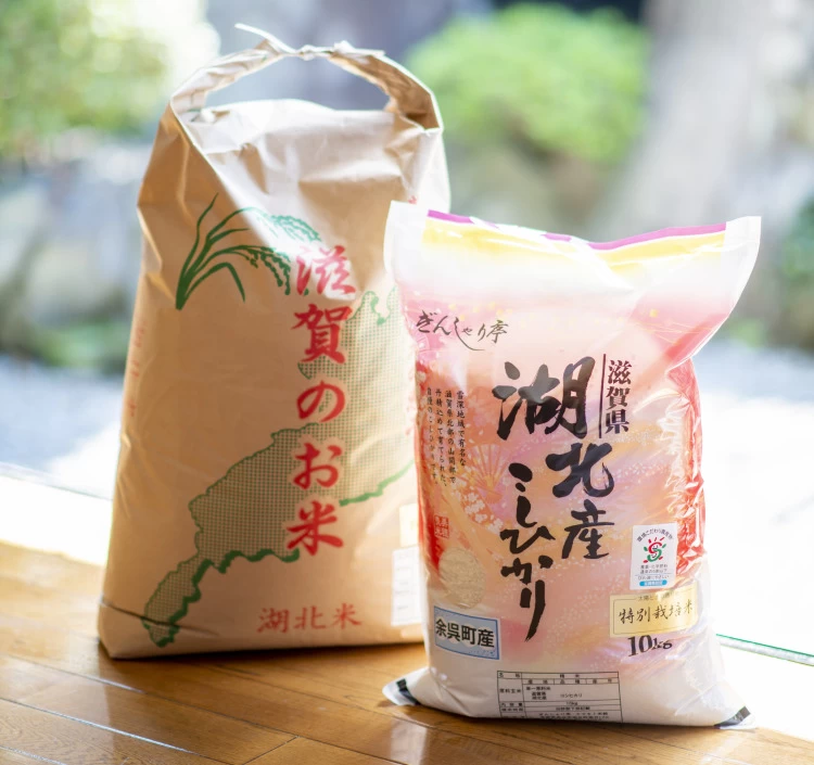 滋賀県環境こだわり農産物『特別栽培米』近江米コシヒカリ玄米10kg(精米費無料)