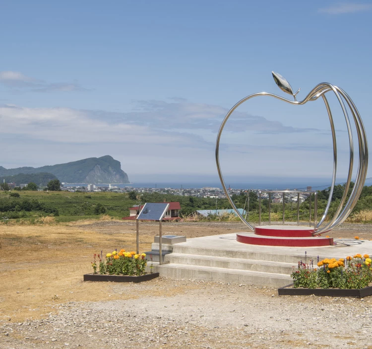 自家製アップルパイ　10個　2セット