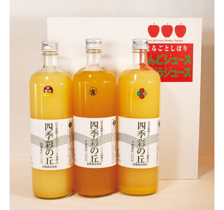 りんごジュース900ml　2本セット【化粧箱入り】