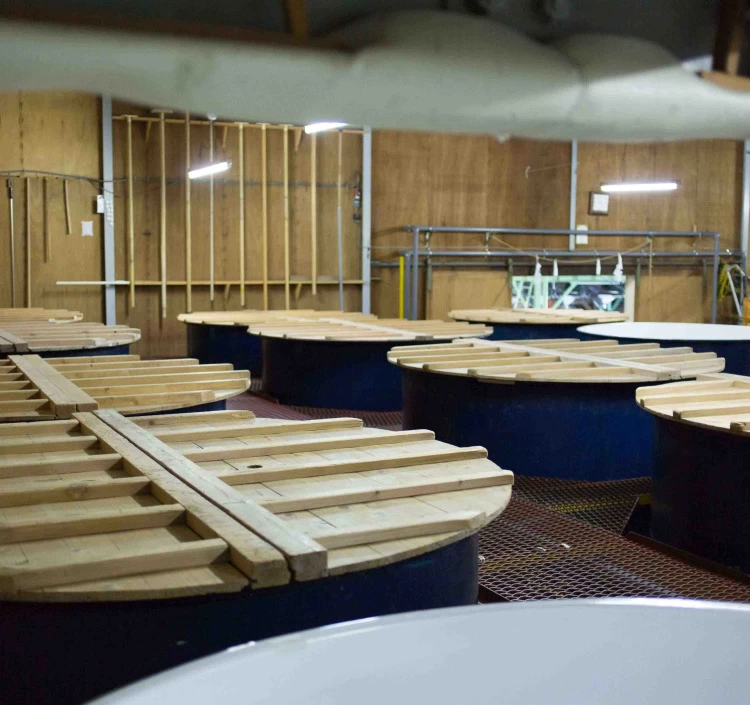 八鶴　華想い　純米大吟醸