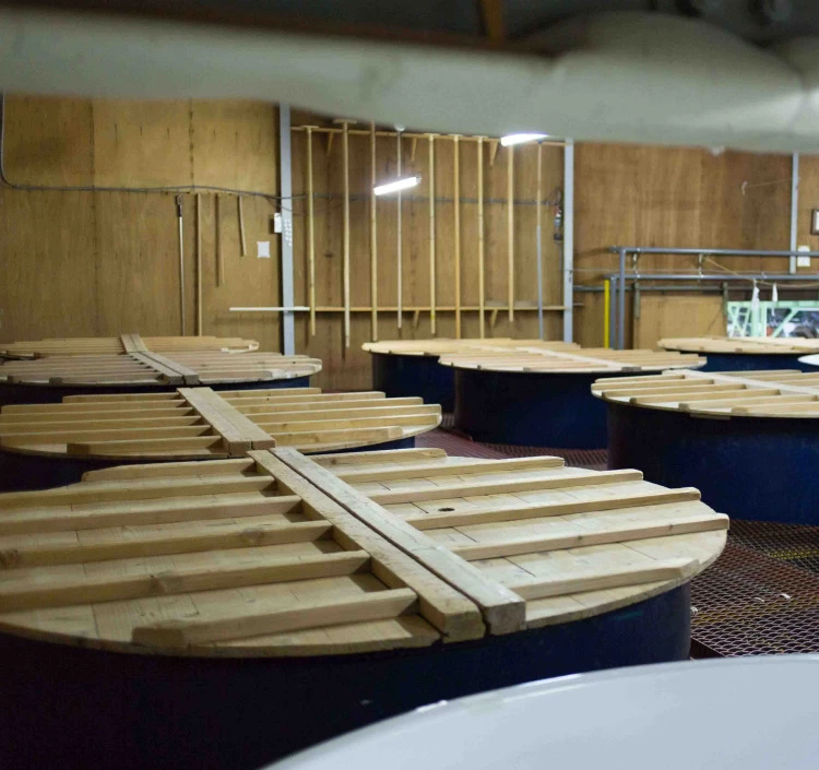 八鶴　超辛純米酒　剛酒