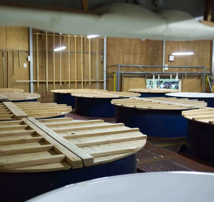 如空 #MUROKA純米吟醸酒