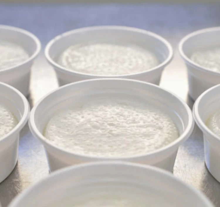 “飲む美容液”とも呼ばれるホエイ