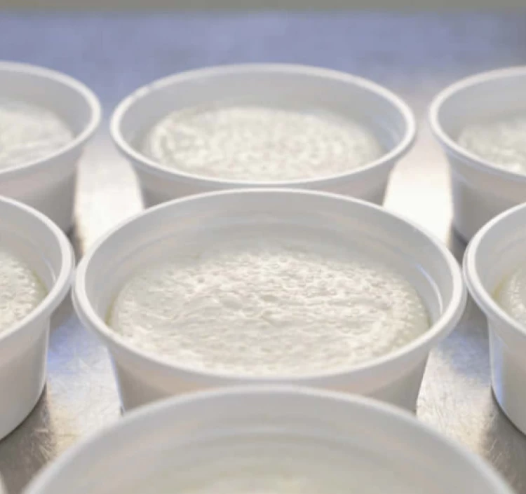 “飲む美容液”とも呼ばれるホエイ