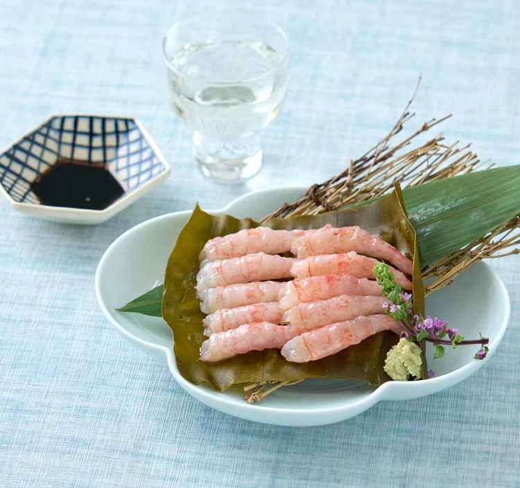 えび　昆布締め