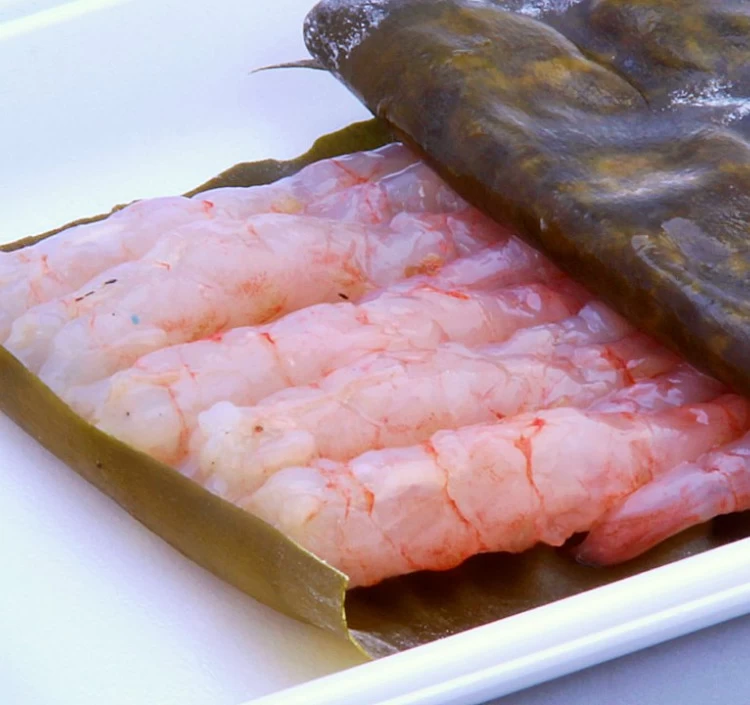 えび　昆布締め