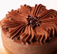 すこやかチョコレートケーキ(15cm) サムネイル
