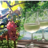 【お試し2本】2024年度･山梨クラフトワインオーナー・ワインぶどう収穫体験＆試食つき（※送料込） サムネイル