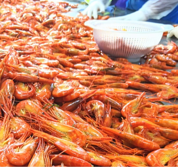 冷凍北海しまえび(大中込)800g夏えび