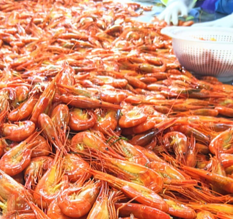 冷凍北海しまえび(大)500g秋えび＞｜エビ（えび・海老）をお取り寄せ