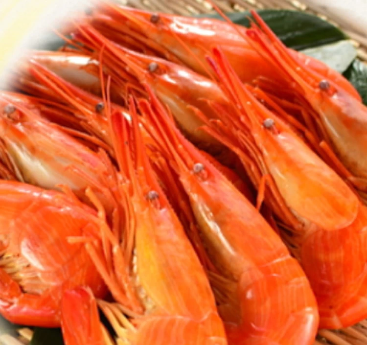 冷凍北海しまえび(特大)500g秋えび