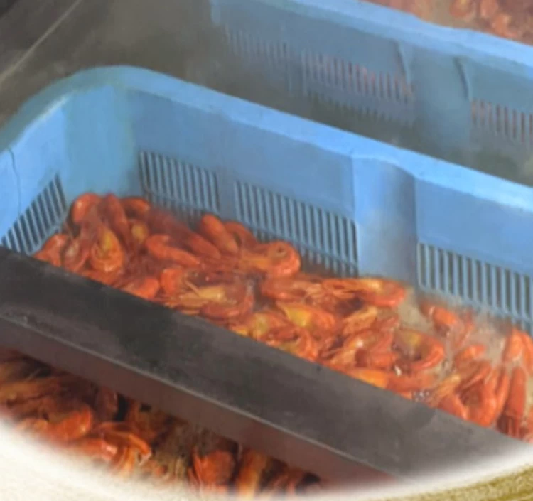 冷凍北海しまえび(大中込)800g秋えび