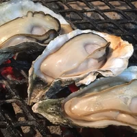 2L・L・M・S食べ比べセット（計10個）｜北海道仙鳳趾産 殻付き牡蠣「昆布の森の牡蠣」 サムネイル