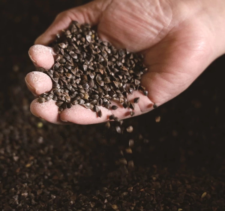 直営農場産そば「旨味」16食