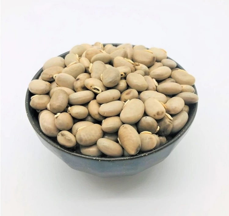 そのままムクナ豆　国産ムクナ豆100％　無農薬自然栽培