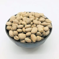 そのままムクナ豆　国産ムクナ豆100％　無農薬自然栽培 サムネイル