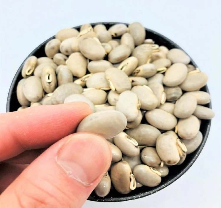 そのままムクナ豆　国産ムクナ豆100％　無農薬自然栽培