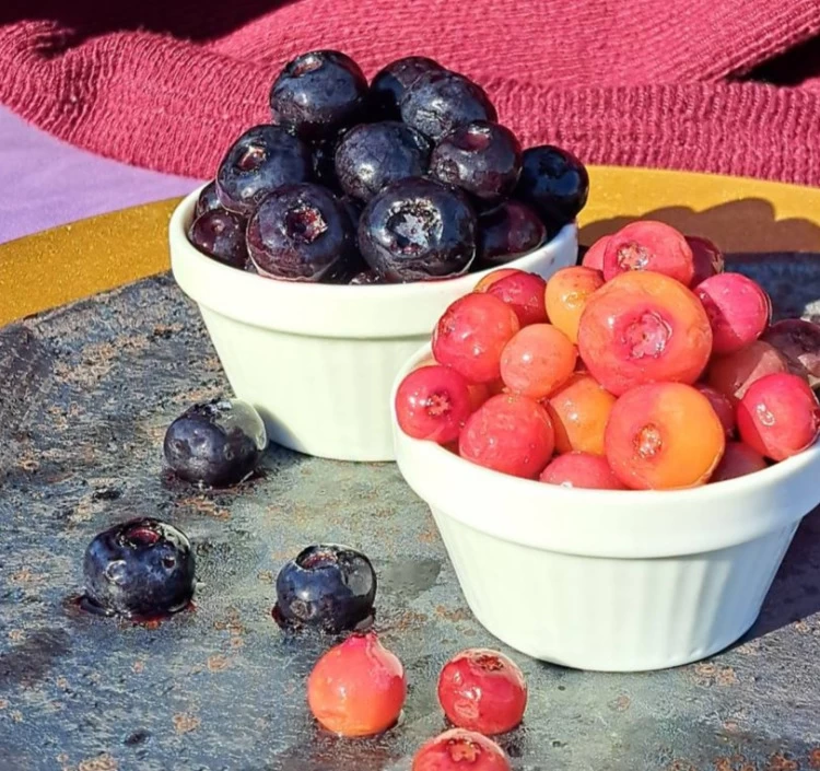 【数量限定!】完熟ブルーベリー500g&ピンクレモネード500g食べ比べセット