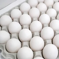 パイエッグ　白卵　１０ｋｇ入り サムネイル