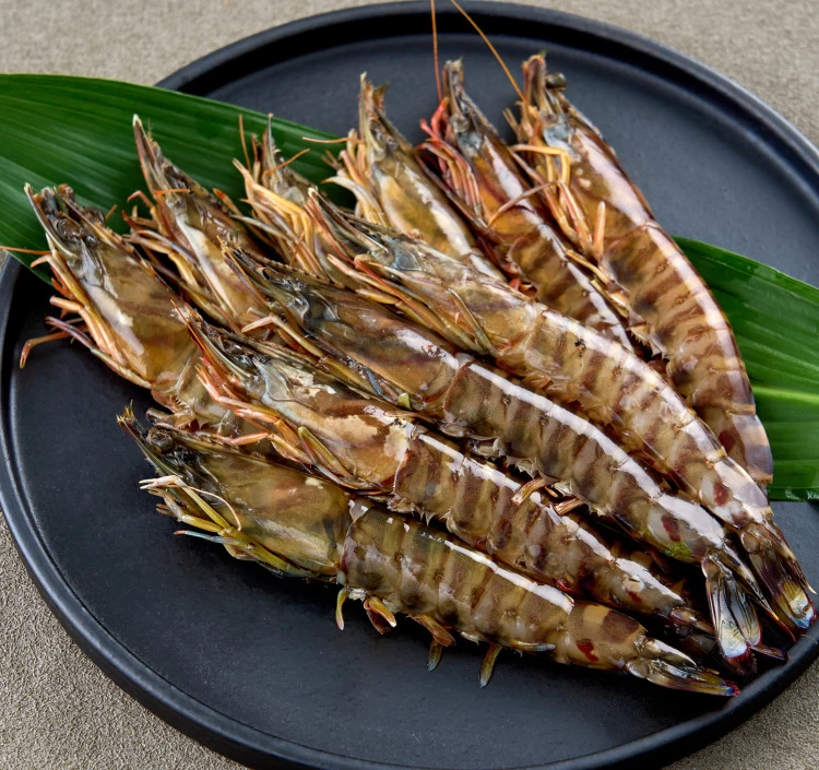 活き〆冷凍車海老＞｜エビ（えび・海老）をお取り寄せ・通販するなら