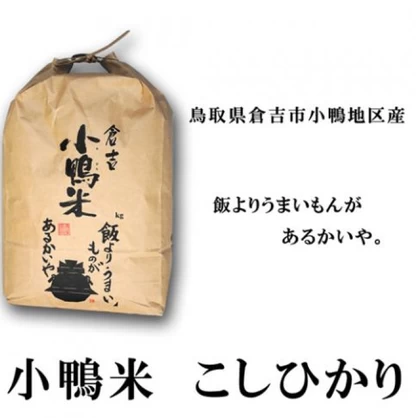 鳥取県倉吉市産 コシヒカリ 小鴨米10kg