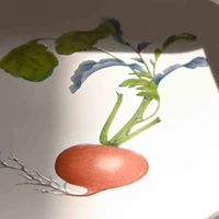 Restaurant MAISON (Paris) - Red turnip φ29cm Plate - サムネイル