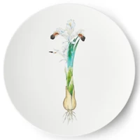 Restaurant MAISON (Paris) - Iris φ29cm Plate - サムネイル