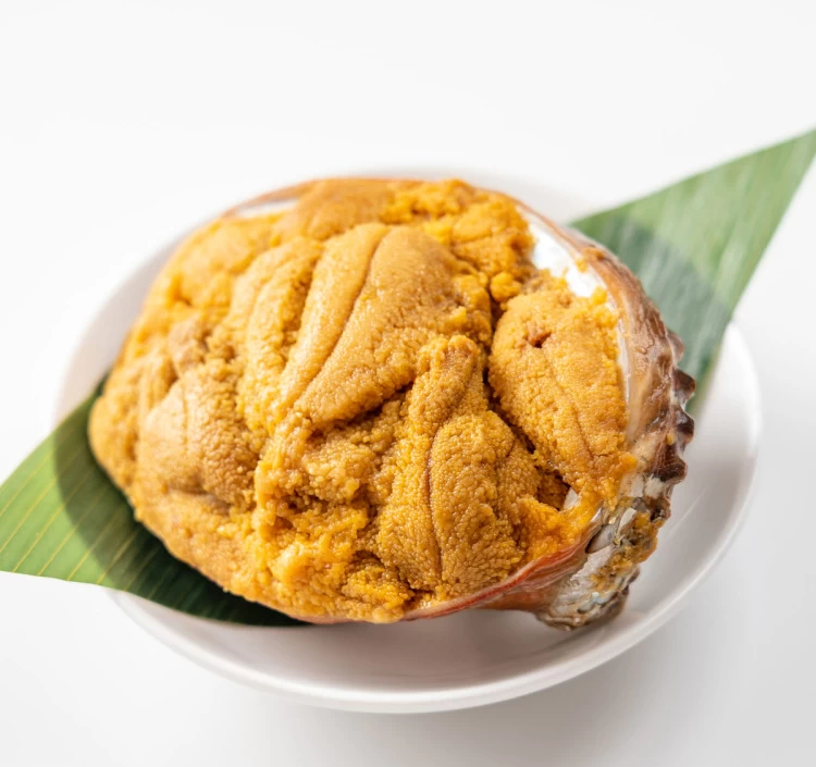 岩手県産 塩うに・焼うにセット