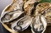 北海道サロマ湖産生牡蠣 中（30個）