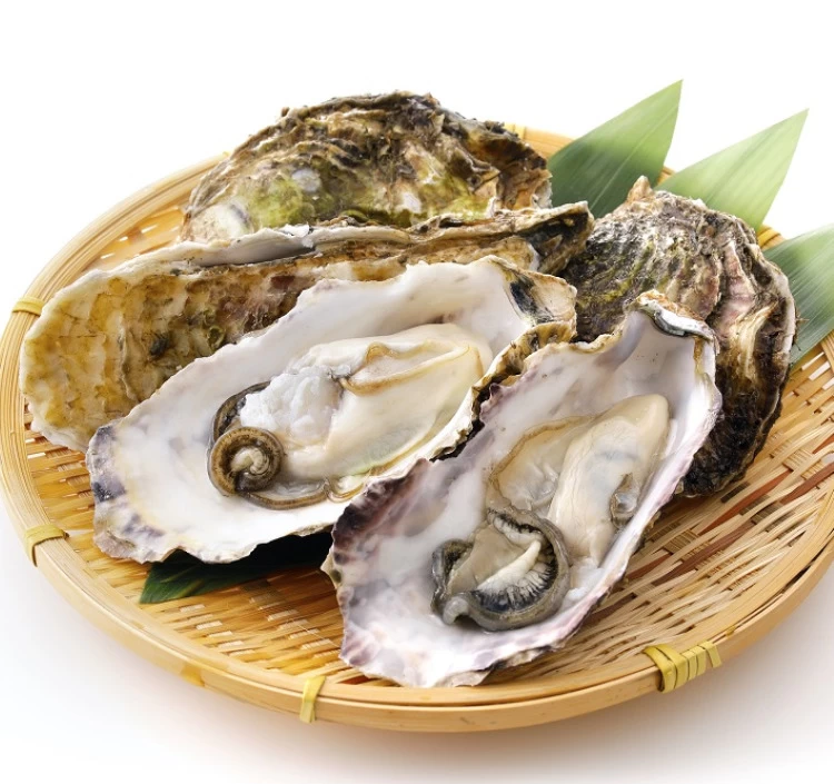 北海道サロマ湖産生牡蠣 中（30個）