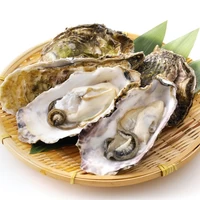 北海道サロマ湖産生牡蠣 中（30個） サムネイル
