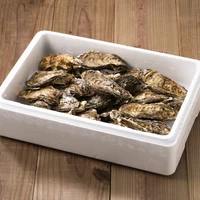 北海道サロマ湖産生牡蠣 中（30個入）×2 サムネイル