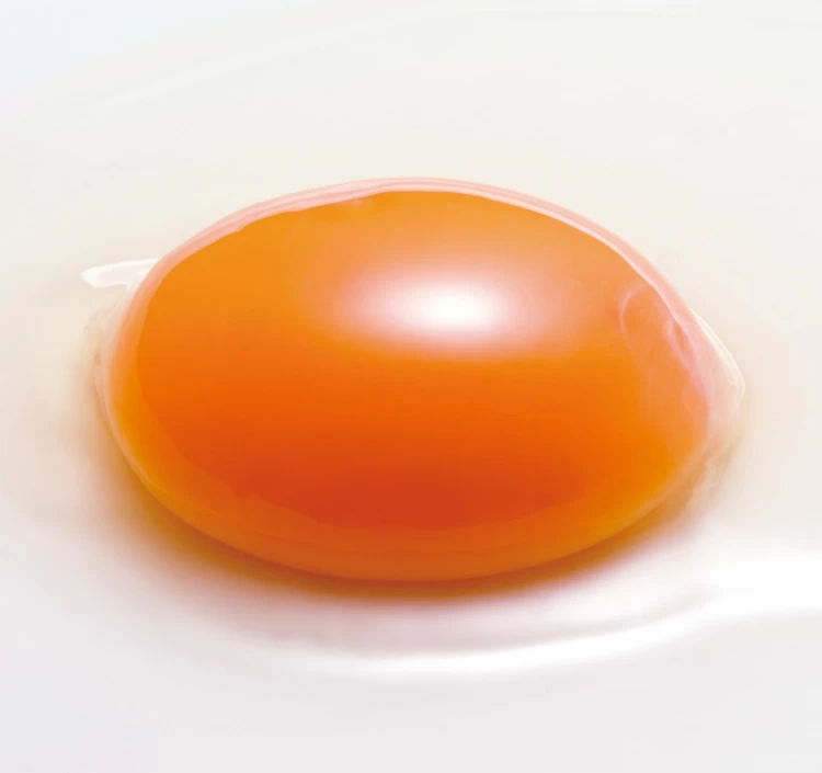 トリュフ醤油と名古屋コーチンの卵のセット 卵20個 トリュフ醤油100ml1本