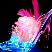 7色に光るシンデレラのガラスの靴