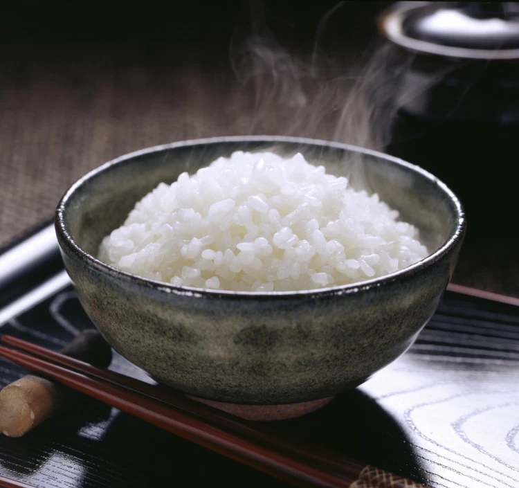 ヒノヒカリ|白米10Kg〈令和四年鹿児島県コモレビ農園産・送料込〉