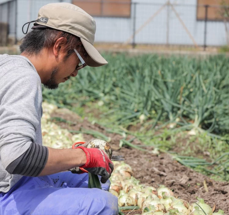 淡路島の土壌で育てられており栄養満点