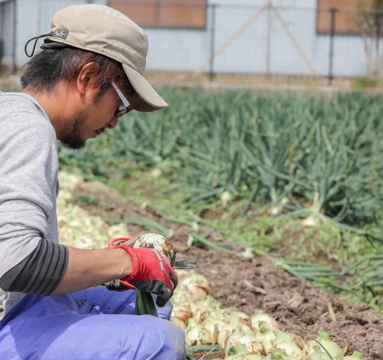 淡路島の土壌で育てられており栄養満点