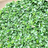 MITOYO MORINGA 香川県産モリンガ乾燥葉250g サムネイル